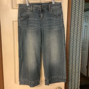 The Limited Wide Leg Crop Jeans Size 2 New